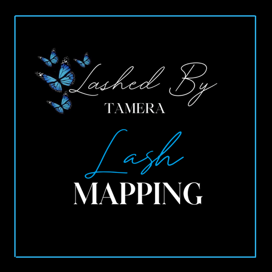 Lash Mapping E Book